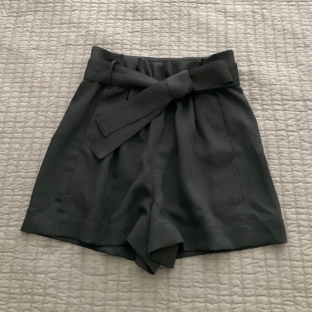 Aritzia Wilfred Paper Bag Shorts - 6